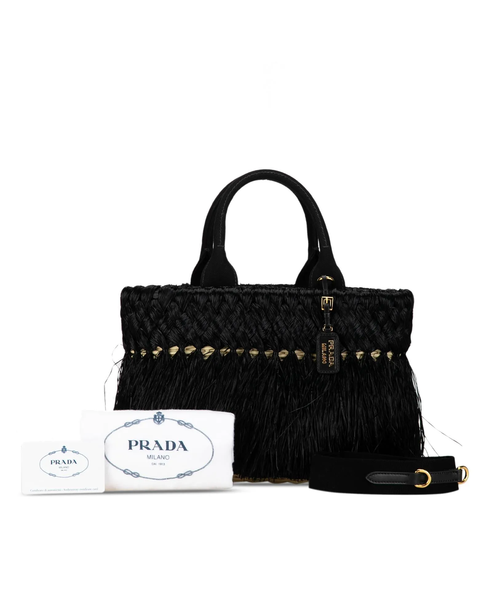 Fringed Raffia Satchel