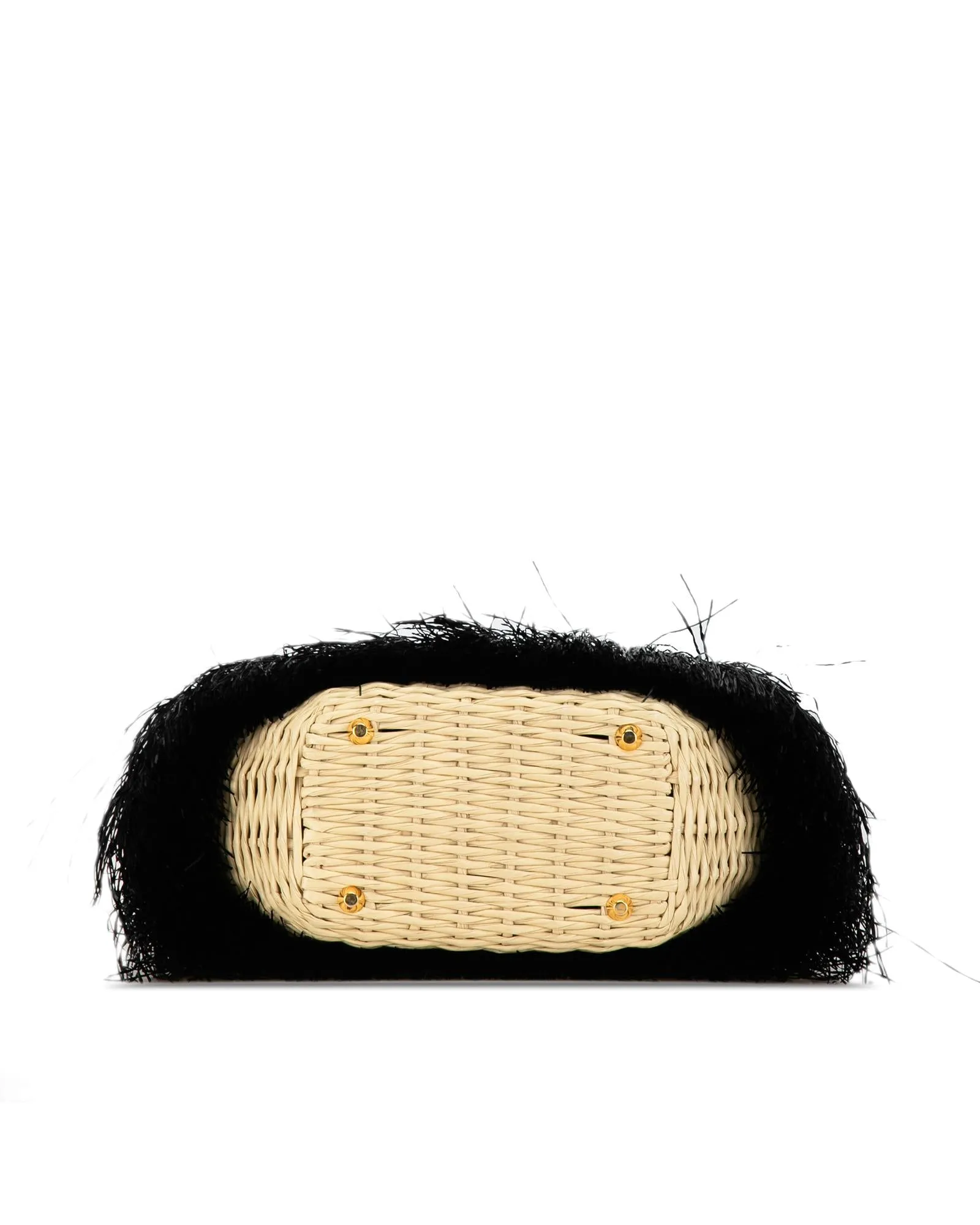 Fringed Raffia Satchel